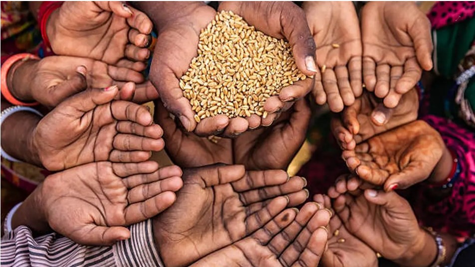 Pakistan Faces Deepening Poverty Crisis, Institutional Weaknesses Highlighted