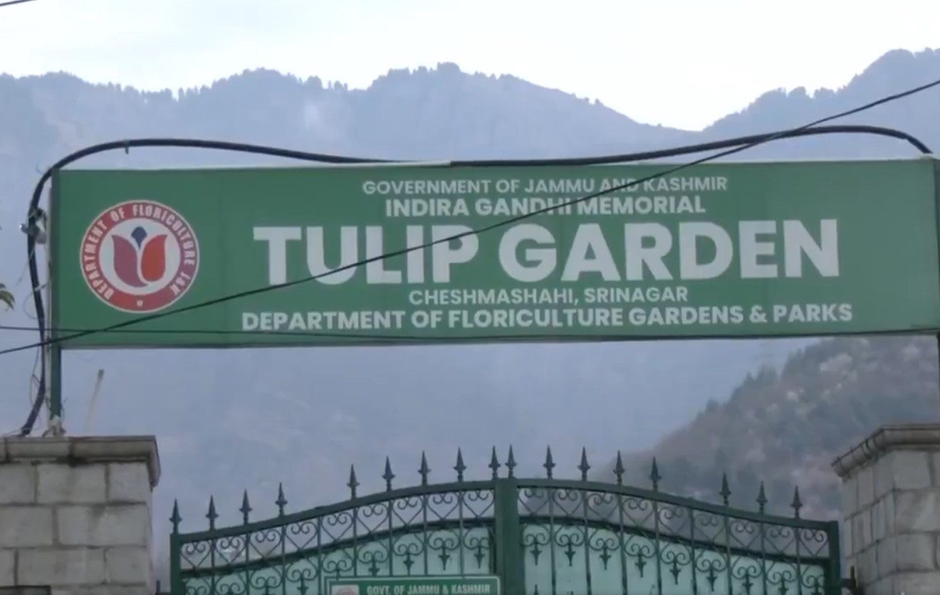 Asia’s largest Tulip Garden in Srinagar opens for visitors in Jammu & Kashmir