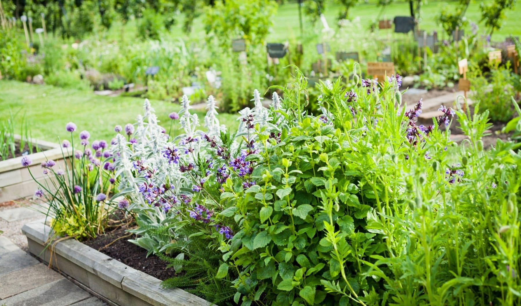 National Medicinal Plants Board approves proposal of 100 school herbal gardens across Jammu