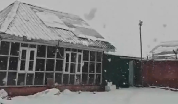 Snowfall, rain bring down temperatures in Kashmir
