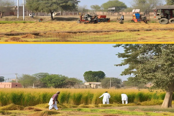 केंद्र सरकार ने पंजाब में सीमा बाड़ को जीरो लाइन के पास स्थानांतरित करने की प्रक्रिया शुरू की