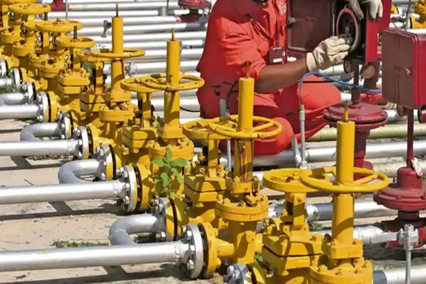 Govt ensures uninterrupted supply of LPG, PNG, CNG  despite uncertainties affecting Strait of Hormuz 