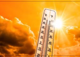 Red alert issued for severe heatwave in parts of Maharashtra till Tuesday