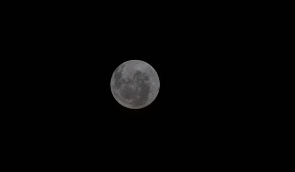 NASA shares image of Moon captured by Artemis II crew