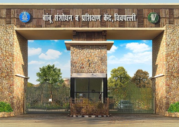 BRTC Chandrapur becomes first institute to get AICTE approval for Bamboo Technology diploma