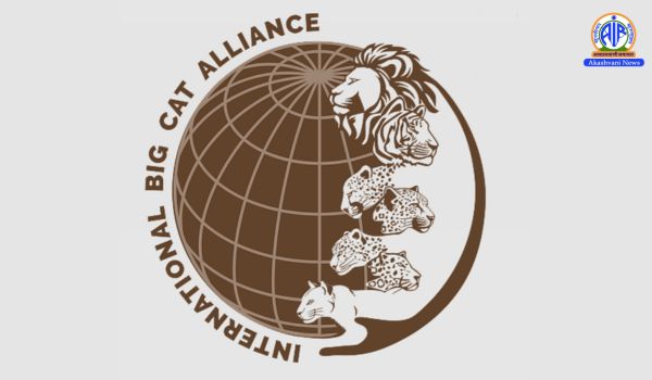 International Big Cat Alliance welcomes Saudi Arabia as newest Member Country