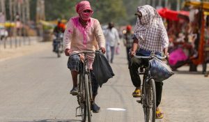 Madhya Pradesh reels under severe heatwave across 42 districts