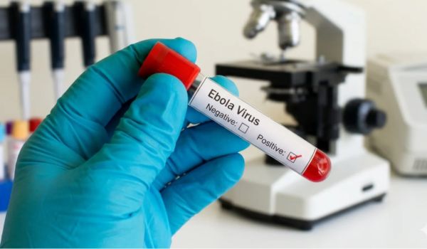 WHO says risk of Ebola virus high in Congo & Uganda, but not globally 