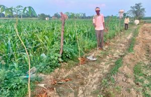 কেন্দ্রীয় কৃষি ও কৃষক কল্যাণ মন্ত্রী শিবরাজ সিং চৌহান আগামীকাল মধ্যপ্রদেশের রাইসেন জেলা থেকে ‘ক্ষেত বাঁচাও অভিযান’-এর সূচনা করবেন। 