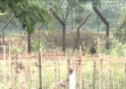 West Bengal government hands over 142.79 acre land to BSF for border fencing infrastructure