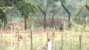 West Bengal government hands over 142.79 acre land to BSF for border fencing infrastructure