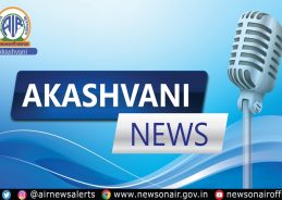India strongly condemns air-strikes by Pakistan on Afghan territory : MEA