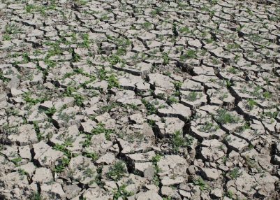 Dry weather and El Nino threat disrupt crop planting across Asia, raise food supply concerns
