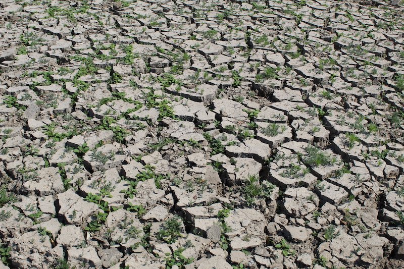Dry weather and El Nino threat disrupt crop planting across Asia, raise food supply concerns
