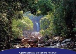 SC orders removal of encroachment from Agasthyamalai ecological landscape