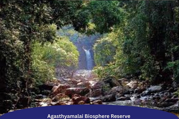 SC orders removal of encroachment from Agasthyamalai ecological landscape