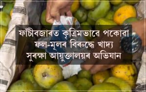 ফাঁচীবজাৰত কৃত্ৰিমভাৱে পকোৱা ফল-মূলৰ বিৰুদ্ধে খাদ্য সুৰক্ষা আয়ুক্তালয়ৰ অভিযান