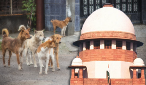 Health Ministry directs Central govt departments to implement SC guidelines on stray dog attacks by today