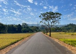 Centre Approves Road Works worth Rs. 211 Crore for Tripura under PMGSY-IV