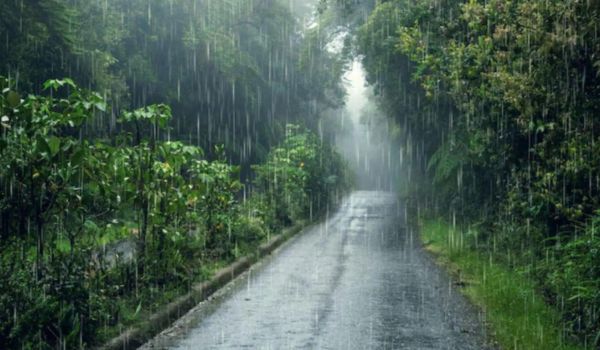 IMD forecasts heavy rainfall over Northeast, Andaman and Nicobar Islands, Kerala and other regions