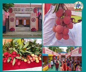 কৃষিজাত আৰু সংসাধিত খাদ্য-সামগ্ৰী ৰপ্তানী উন্নয়ন প্ৰাধিকৰণৰ জৰিয়তে তেজপুৰৰ এক টন সুস্বাদু লিচু ডুবাইলৈ প্ৰেৰণ