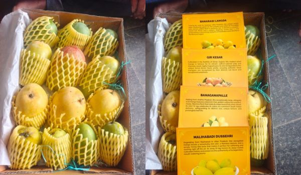 BJP National President Nitin Nabin sends Indian mango hampers to diplomats from 82 countries