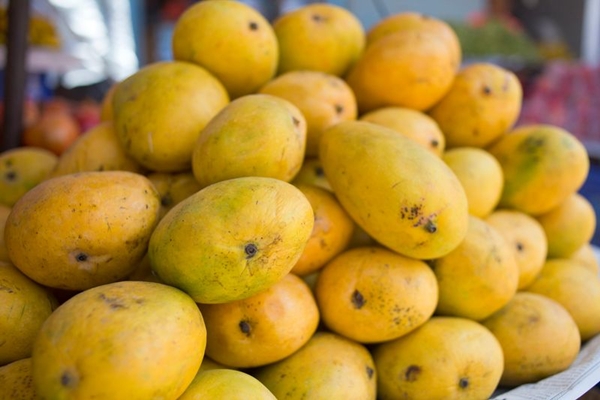 Nepal refute media reports claiming ban on import of Indian mangoes