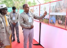 President Droupadi Murmu reviews progress of Project Cheetah at Kuno National Park