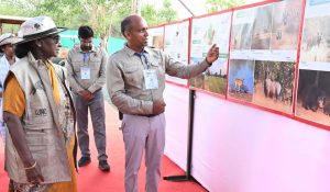 President Droupadi Murmu reviews progress of Project Cheetah at Kuno National Park
