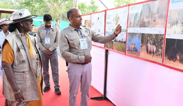 President Droupadi Murmu reviews progress of Project Cheetah at Kuno National Park