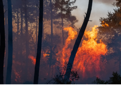 Over 20,000 evacuated as wildfire rages in southwest France