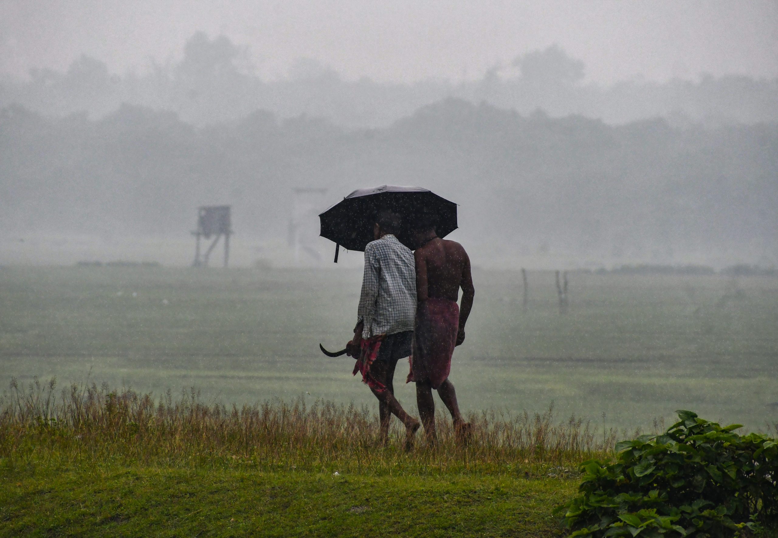 IMD forecasts heavy to extremely heavy rainfall across several states