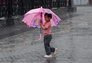 Heavy monsoon rains will continue to lash large parts of country over next few days: IMD