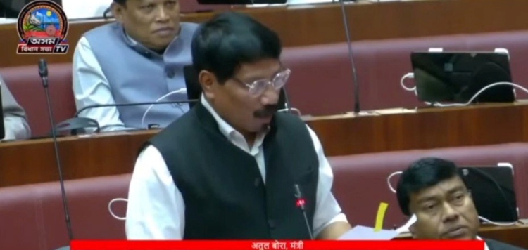 অসমৰ সীমান্তৱৰ্তী ৯ খন জিলাৰ ১৪০ খন গাঁৱৰ সৰ্বাংগীন বিকাশৰ বাবে ভাইব্রেন্ট ভিলেজ শীর্ষক অভিলাসী আঁচনি