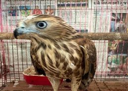 CBI & DRI bust  interstate wildlife crime syndicate; Rescue 53 Protected Animals and Birds