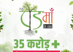 India conducts massive tree-planting campaign across country