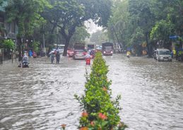 Heavy showers continue in coastal districts of Maharashtra