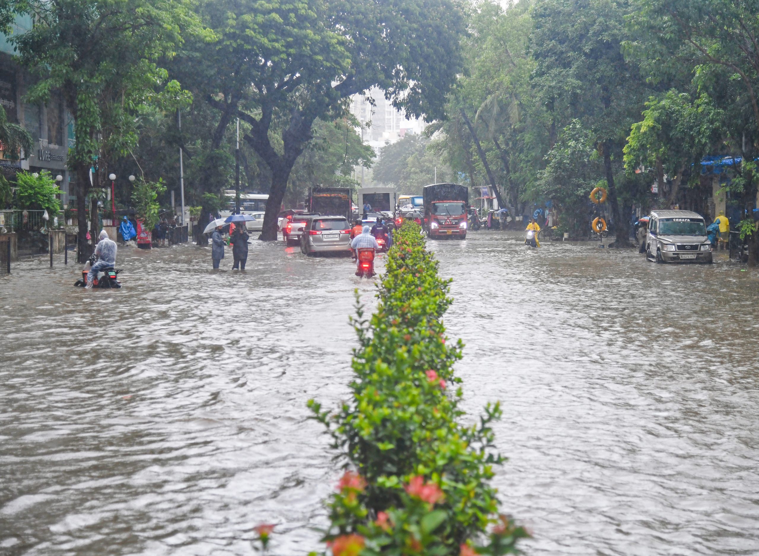 Heavy rain disrupts normal life in Maharashtra