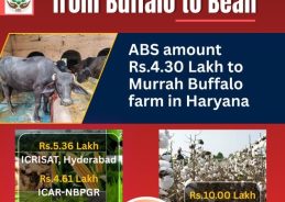 NBA releases over 24 lakh rupees to stakeholders conserving biological resources: MoEFC