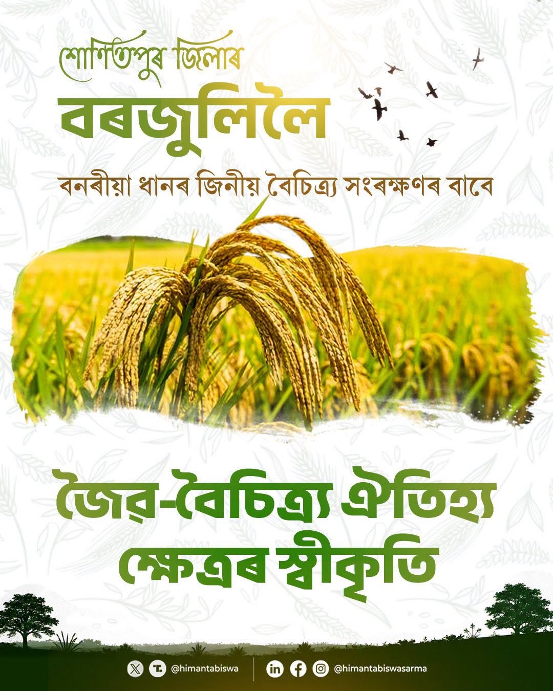 শোণিতপুৰৰ বৰজুলিক ৰাষ্ট্ৰীয় জৈৱ বৈচিত্ৰ্য প্ৰাধিকৰণৰ ঐতিহ্য ক্ষেত্ৰৰ স্বীকৃতি প্রদানক লৈ মুখ্যমন্ত্ৰীৰ সন্তুষ্টি প্রকাশ