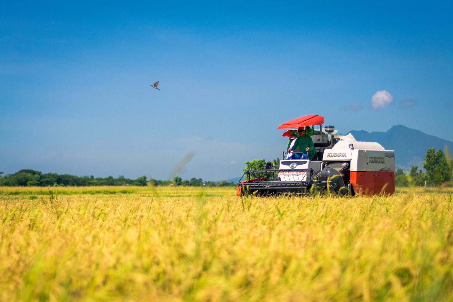 Govt supports distribution of 22 lakh farm machines under Sub-Mission on Agricultural Mechanisation
