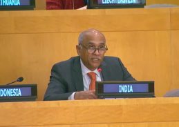 India says confidence in UN declining over lack of Security Council reforms