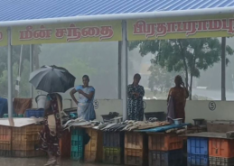 Tamil Nadu forms expert panel to assess potential impact of strong El Niño
