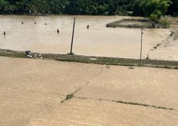 Heavy rains wreak havoc in Assam, 41 dead