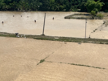 Heavy rains wreak havoc in Assam, 41 dead