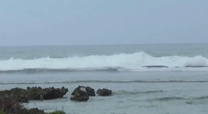 Typhoon Bavi forces flight cancellations and school closures in Japan & Taiwan