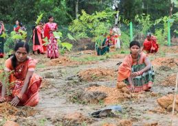 21 Lakh saplings to be planted in Indore under Ek Ped Maa Ke Naam campaign