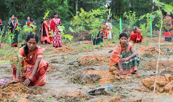 21 Lakh saplings to be planted in Indore under Ek Ped Maa Ke Naam campaign