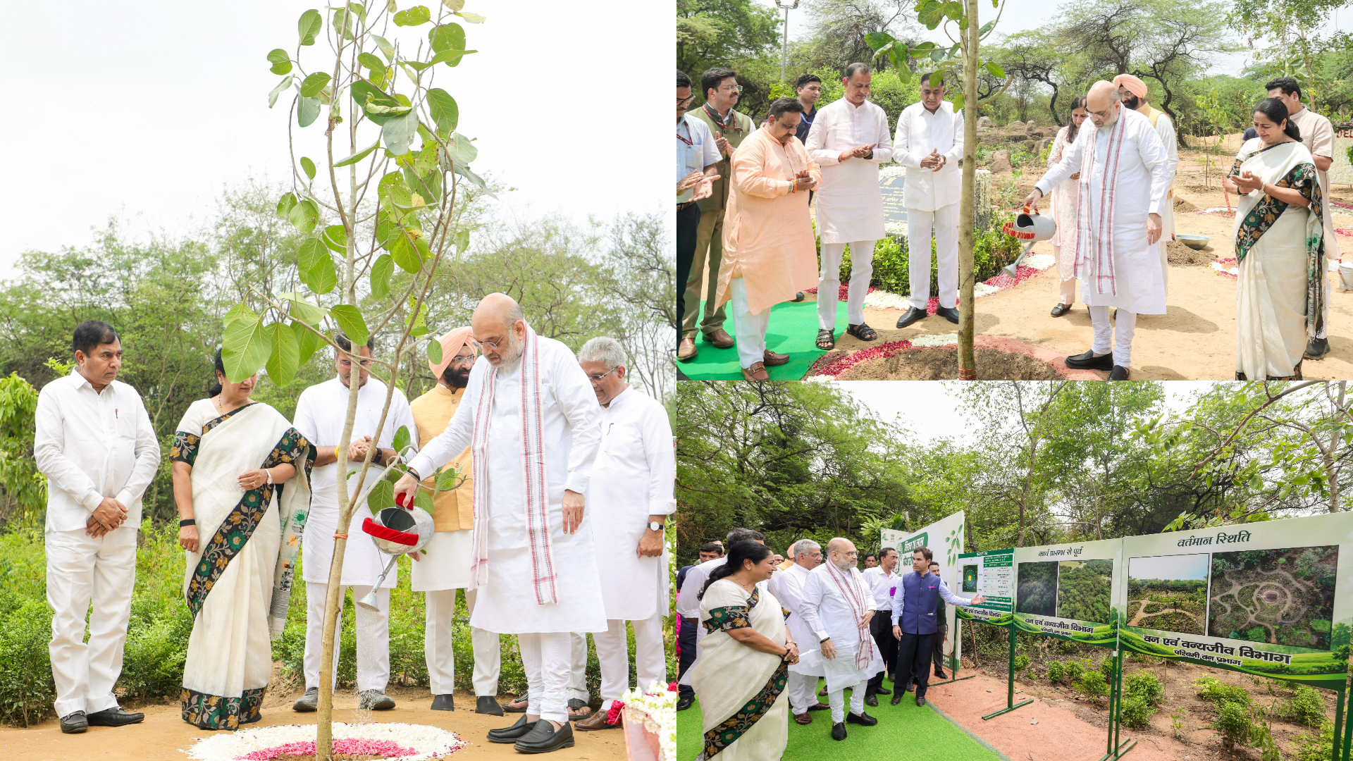 এক পেড় মা কে নামৰ অভিযানৰ অধীনত ৭০ লাখ গছপুলি ৰোপনৰ অভিযান মুকলি গৃহমন্ত্রী অমিত শ্বাহৰ