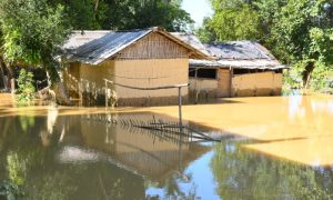 শিৱসাগৰ জিলাৰ ৩০১ খন গাঁৱৰ প্ৰায় ৪ লাখ লোক ক্ষতিগ্রস্ত হৈছে বুলি শিৱসাগৰৰ জিলা আয়ুক্তৰ প্ৰকাশ